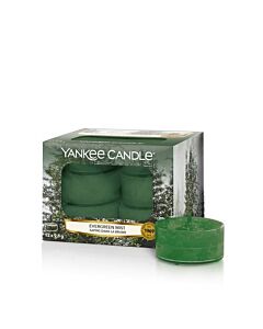 Yankee Candle Evergreen Mist Tea Lights